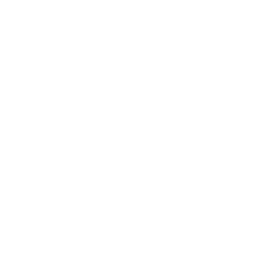 The Fair